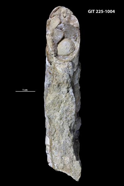 https://files.geocollections.info/large/9e/d0/9ed050fe-2fc4-40b8-92bf-d11d8f0f02f7.jpg
