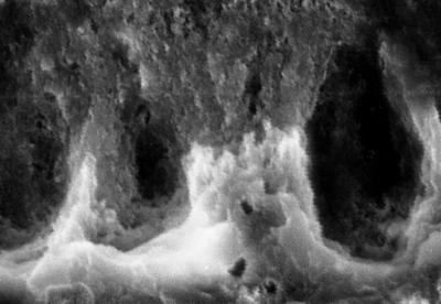 https://files.geocollections.info/large/9e/d5/9ed5dc79-5b32-4d8c-ada8-319925395b21.jpg
