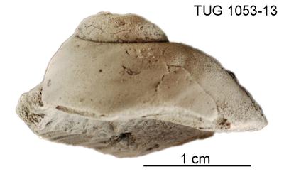 https://files.geocollections.info/large/9e/ec/9eec0fcd-c3d7-4133-adc6-e816c7a16e65.jpg