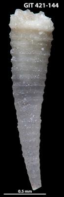 https://files.geocollections.info/large/9f/ad/9fad8ae0-65cb-4234-af19-ffc4d5c4c091.jpg