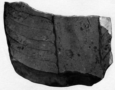 https://files.geocollections.info/large/9f/b8/9fb8a305-f815-4ecd-a109-9962bd3cd83d.jpg