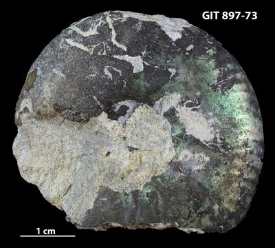 https://files.geocollections.info/large/a0/1e/a01e8380-1cd9-4138-a332-bdc0e8ef242b.jpg