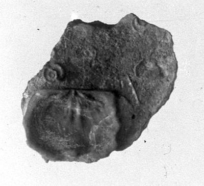 https://files.geocollections.info/large/a0/38/a038dc28-e8ce-4749-90fb-a7a715a55585.jpg