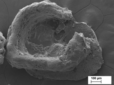 https://files.geocollections.info/large/a0/88/a088fd9c-8221-423d-acad-753ca8ca37e5.jpg
