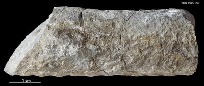 https://files.geocollections.info/large/a0/89/a089ec76-fe02-48a7-a7fb-35d21d83ed32.jpg