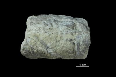 <i></i><br />Aluvere quarry,  m, Idavere Substage