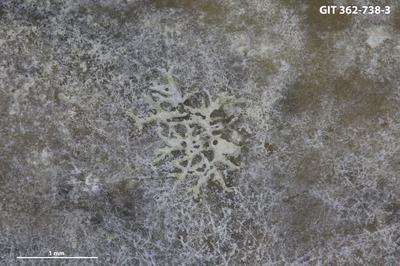 <i></i><br />Harku quarry,  m, Kunda Stage