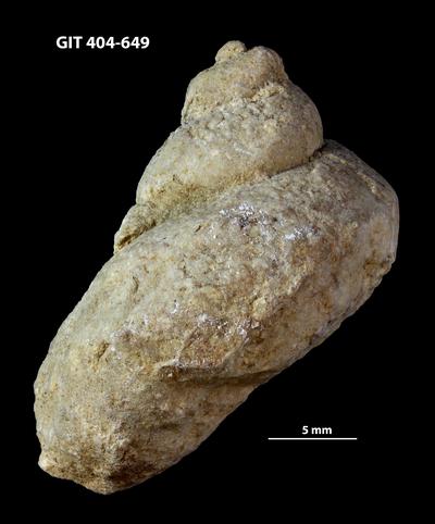 https://files.geocollections.info/large/a1/14/a11403f1-66de-4240-a465-07c39cc93c0a.jpg