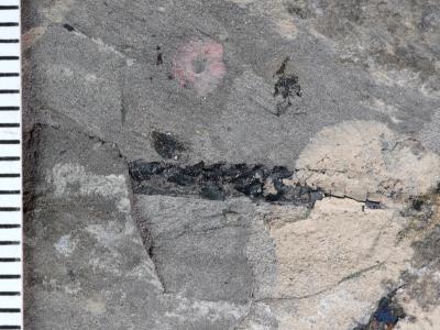 https://files.geocollections.info/large/a1/c1/a1c1d820-5ec6-472a-829d-c8c175f16076.jpg
