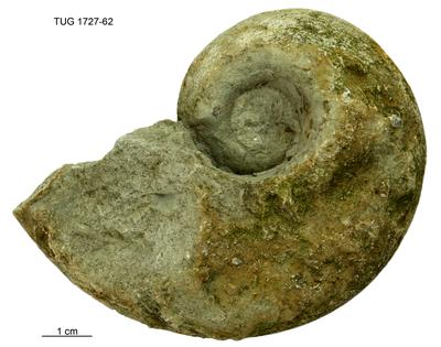https://files.geocollections.info/large/a1/fb/a1fb71db-63cb-4a89-b222-6ae1c4652896.jpg