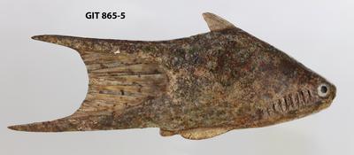 https://files.geocollections.info/large/a2/2e/a22e73fd-ff3b-4df5-a63e-b4badee10357.jpg