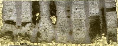 https://files.geocollections.info/large/a2/5f/a25fb802-4cc1-4a4e-ba6c-6ec93ffeea78.jpg