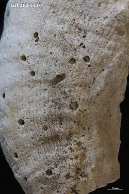 <i></i><br />Hosholm shore,  m, Pirgu Stage