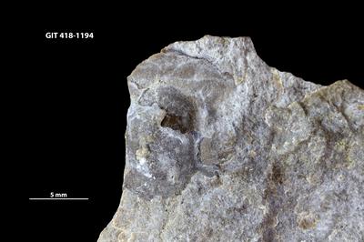 https://files.geocollections.info/large/a2/d7/a2d7bf42-3634-4e01-9bc9-7d99103d7c32.jpg