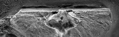 https://files.geocollections.info/large/a3/42/a342bd35-f8b1-4edc-b853-eb382223d571.jpg