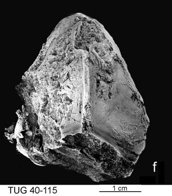 https://files.geocollections.info/large/a3/d0/a3d028de-16b8-49eb-ad10-32a9c4cf434d.jpg