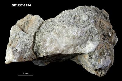 https://files.geocollections.info/large/a3/df/a3df7836-c504-4c98-a6d5-b8cefc9e4c41.jpg