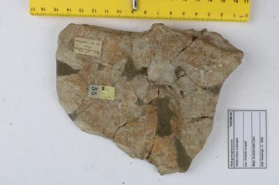 https://files.geocollections.info/large/a4/1d/a41d5772-6f3a-4a6d-bac0-567b682d37d4.JPG