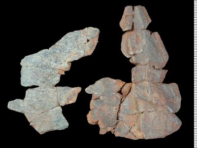 https://files.geocollections.info/large/a4/42/a4428503-6474-4819-a5af-97bbc621fd71.jpg