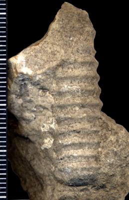 https://files.geocollections.info/large/a4/6c/a46c6729-0907-486c-a835-b2cad81d941c.jpg