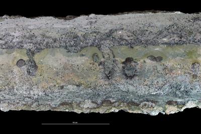 <i></i><br />Uuga Cliff 1, Parki peninsula,  m, Volkhov Stage