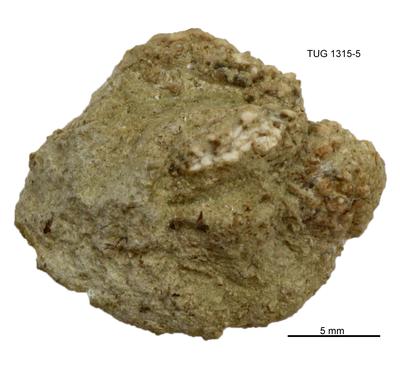 https://files.geocollections.info/large/a5/20/a520e83b-fe09-4758-9a73-858a89ea0d98.jpg