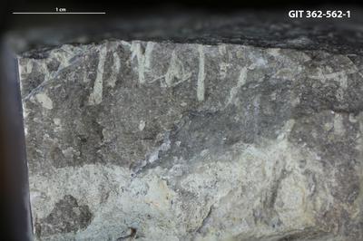 <i></i><br />Ohesaare cliff,  m, Ohesaare Stage