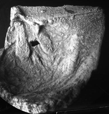 https://files.geocollections.info/large/a5/bf/a5bf59b0-fe28-4ccb-9b60-a2a0de113774.jpg