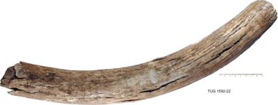 https://files.geocollections.info/large/a6/0c/a60cd1da-577b-449b-9b1b-954fcf436268.jpg