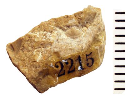 https://files.geocollections.info/large/a6/97/a69738fa-e9d7-44db-bff7-50a544ccce37.jpg