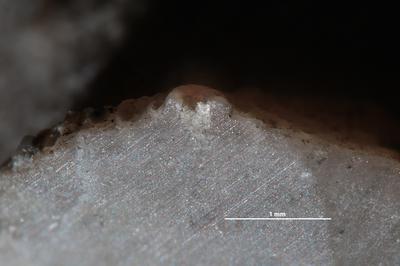 https://files.geocollections.info/large/a6/b6/a6b6b492-d210-4816-9ffb-add55ad4b541.jpg