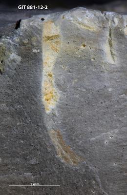 <i></i><br />Sutlema quarry,  m, 