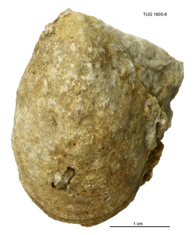 https://files.geocollections.info/large/a6/d1/a6d12605-1e1b-4a53-b65d-166572459c41.jpg