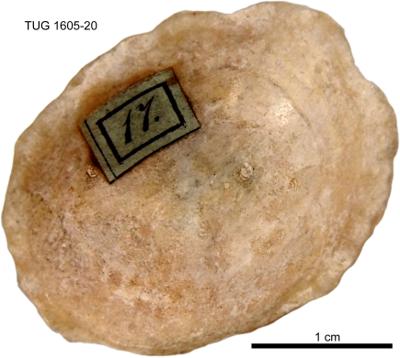 https://files.geocollections.info/large/a7/22/a722bcc4-fa63-4569-b725-3d7a08f79510.jpg