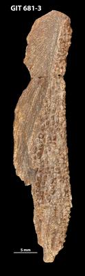 https://files.geocollections.info/large/a7/4d/a74d8e1e-6c03-4324-a599-f448be41bd0d.jpg