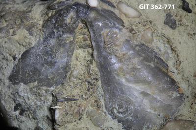 <i></i><br />Kaugatuma,  m, Kaugatuma Stage