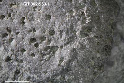 <i></i><br />Ohesaare cliff,  m, Ohesaare Stage