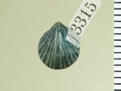 https://files.geocollections.info/large/a8/1d/a81d796f-1add-47a2-a0a9-cdabd2692565.jpg
