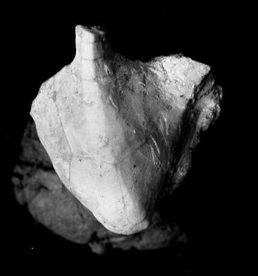 https://files.geocollections.info/large/a9/1d/a91d2346-4784-4b66-88e5-bab1c5a34c85.jpg