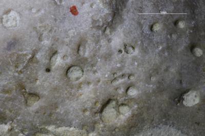 <i></i><br />Hosholm shore,  m, Pirgu Stage