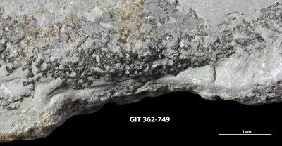 <i></i><br />Ohesaare cliff,  m, Ohesaare Stage