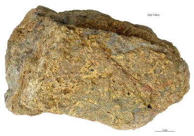 https://files.geocollections.info/large/a9/db/a9dbaffd-1f91-40e8-9129-869c65f71184.jpg