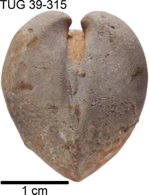 https://files.geocollections.info/large/aa/93/aa9322a0-f014-4079-ab71-a757971f7711.jpg