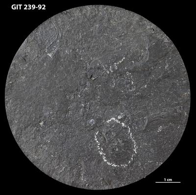 https://files.geocollections.info/large/aa/a6/aaa68997-a99b-4a6d-8327-9bb259c2ac7f.jpg