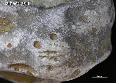 <i></i><br />Rööpli Cliff, Kõinastu,  m, Adavere Stage