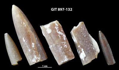 https://files.geocollections.info/large/ab/1d/ab1d22a2-2139-4822-bdae-61e59d0be0ea.jpg
