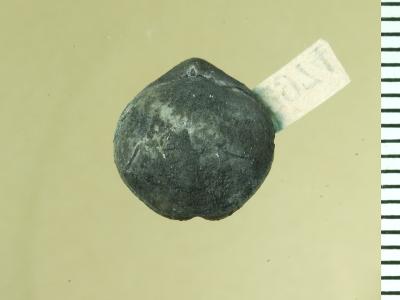 https://files.geocollections.info/large/ab/d4/abd4bb7b-faf5-40e3-9735-79e1681dc370.jpg