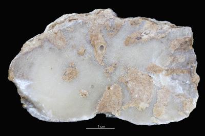 <i></i><br />Kohtla-Nõmme openpit,  m, Kukruse Stage