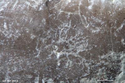 <i></i><br />Kõinastu islet,  m, Adavere Stage