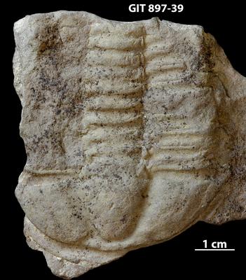 https://files.geocollections.info/large/ad/45/ad452798-649f-482a-9cf6-d73d764f95f0.jpg